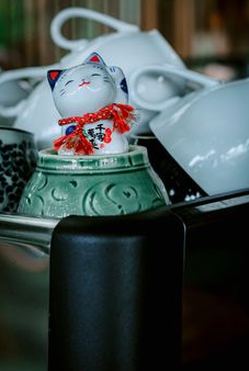 mẹo thắng Nohu